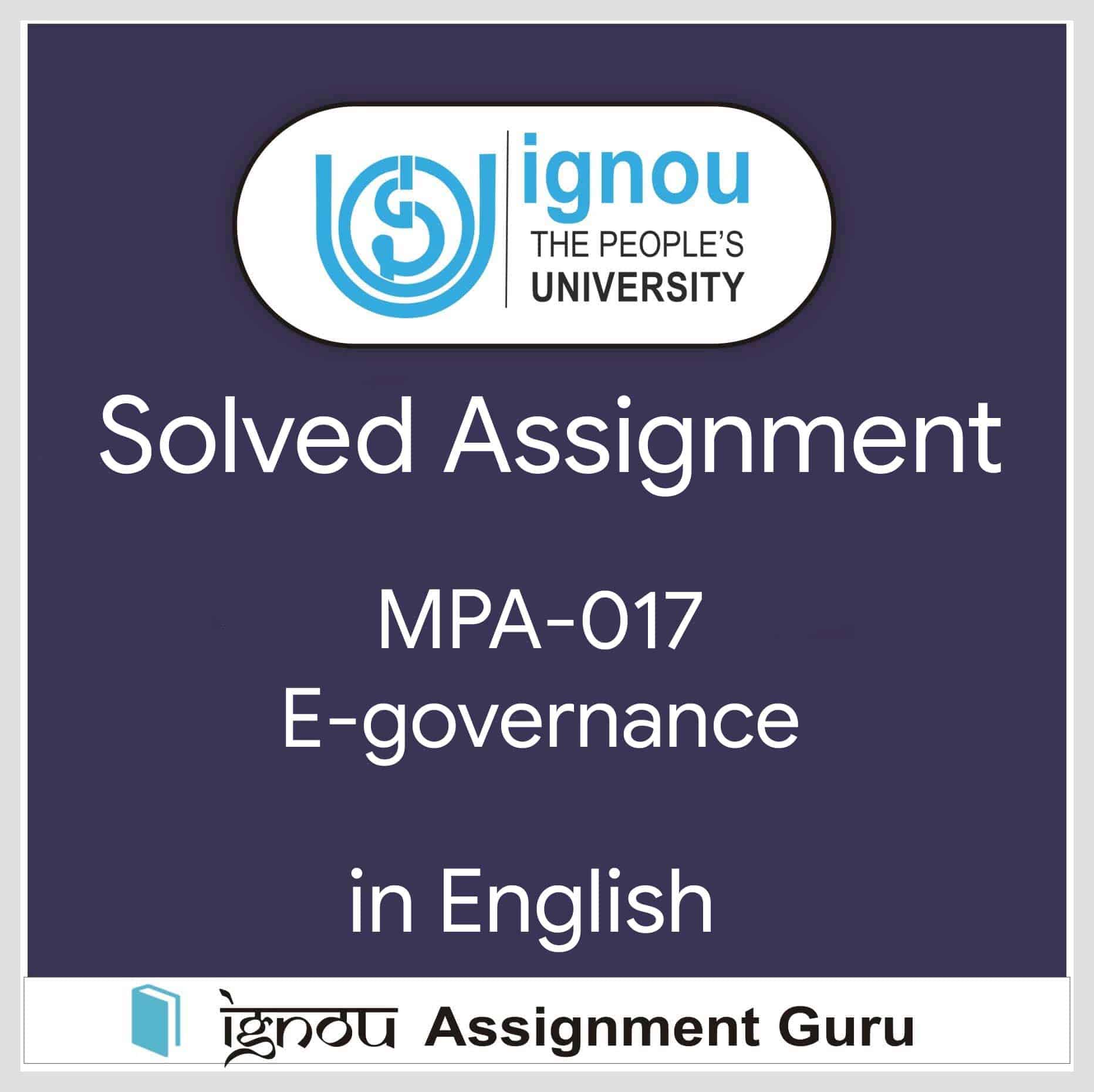 e governance assignment