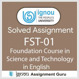 fst 01 assignment 2023 pdf download