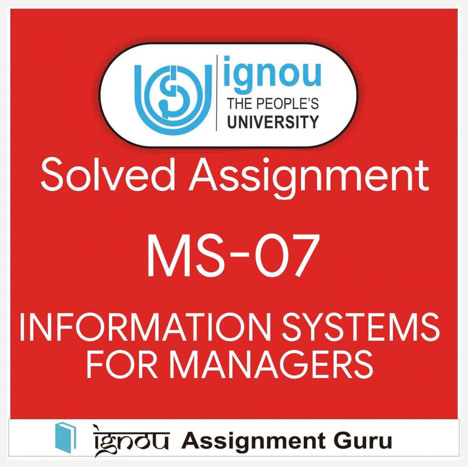 information system for managers assignment